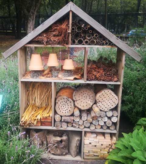 Responder Arruinado Sala Cómo construir un hotel de insectos para la huerta - Eco Jardín Mágico