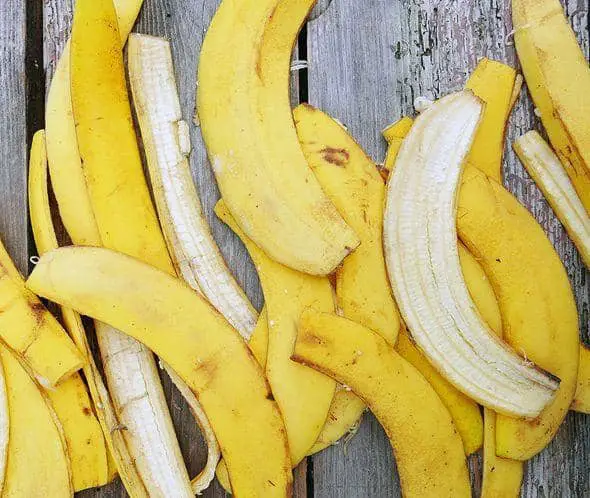 cáscaras de banana para abono casero