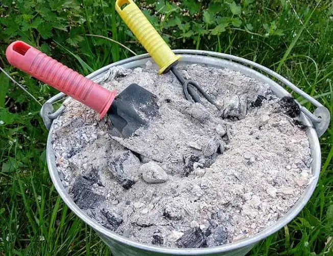 aportar potasio a las plantas