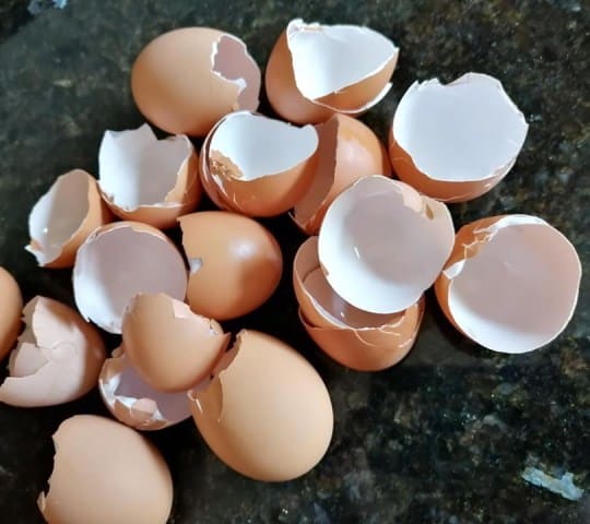 cáscaras de huevo abono casero