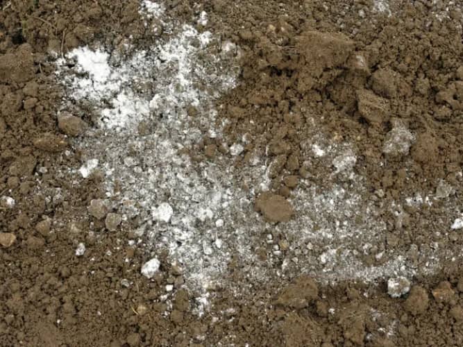 reducir acidez del suelo con bicarbonato de sodio