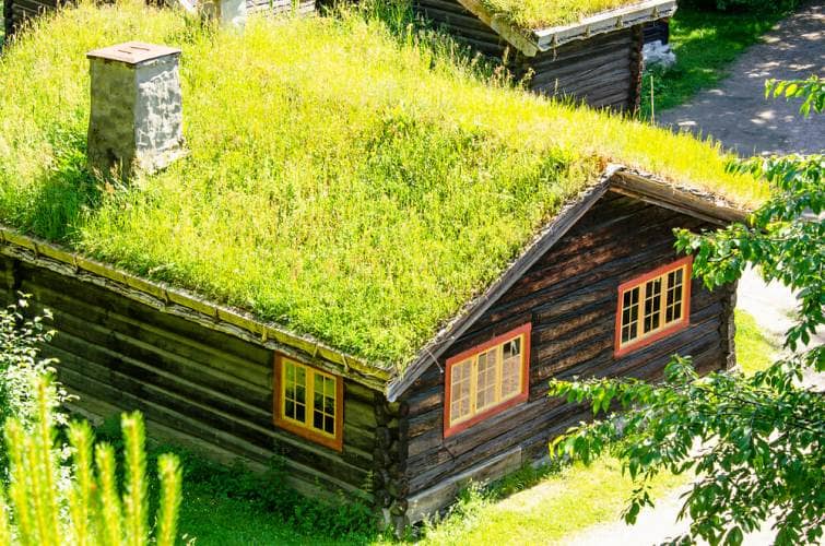cómo hacer un techo verde