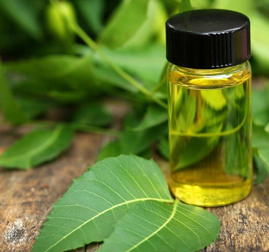 utilisations de l'huile de neem