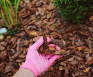 Consejos para hacer y aplicar Mantillo orgánico - Eco Jardín Mágico