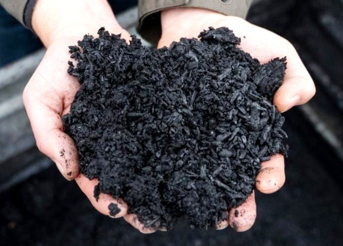 Cómo hacer y usar Carbón Vegetal para mejorar el suelo - Eco