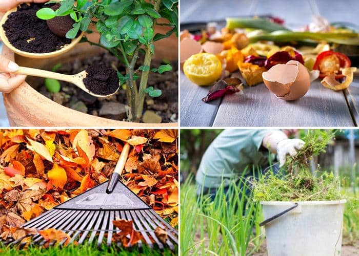 abonos caseros para el jardín y la huerta