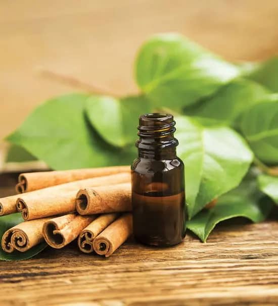 Aceite esencial de canela para el jardín