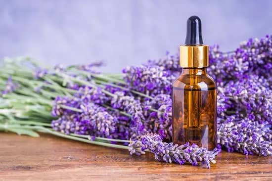 Aceite esencial de lavanda para el jardín