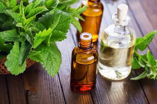 Aceite esencial de menta para el jardín