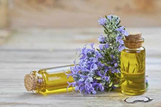 Aceite esencial de romero para el jardín