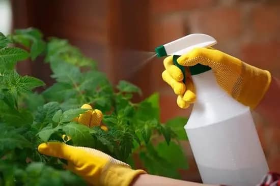 usos de aceites esenciales en jardinería