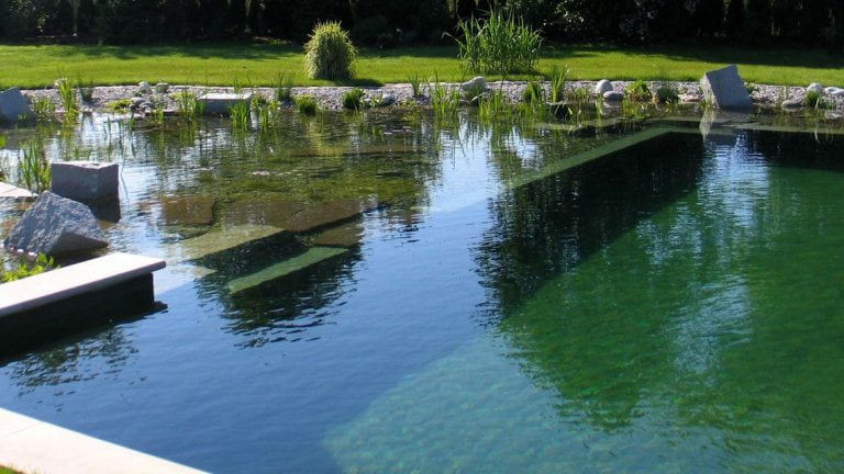 es bonito aburrido disco Cómo hacer una Piscina Natural, guía de construcción - Eco Jardín Mágico