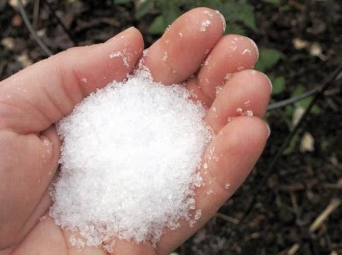 usos de la sal de epsom en el jardín y huerta