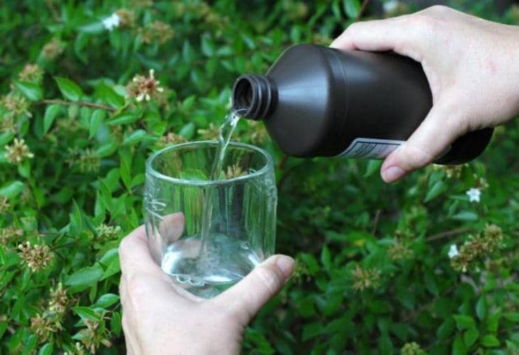 9 Usos del agua oxigenada en el huerto o jardín 