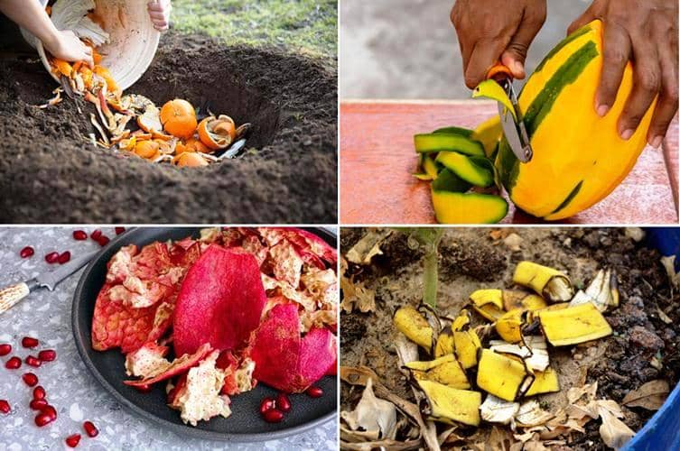 cascaras de fruta como abono