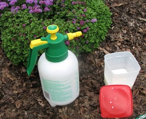 savons insecticides pour lutter contre les nuisibles