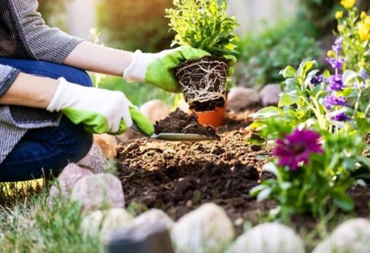 razones por las que la jardinería es buena para la salud