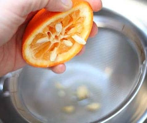cultivar semillas de naranja