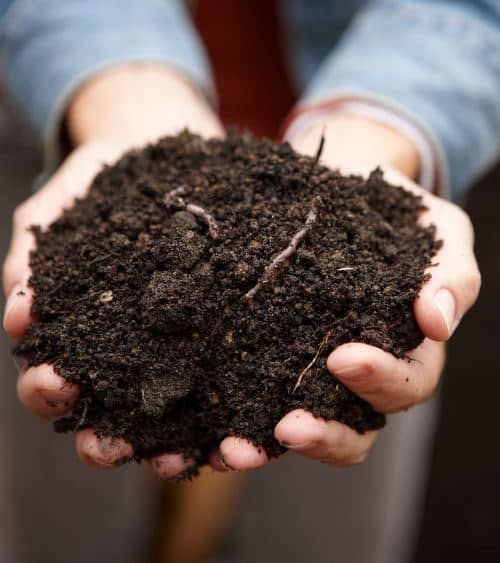 Cómo hacer Compost en un Balde o Cubeta