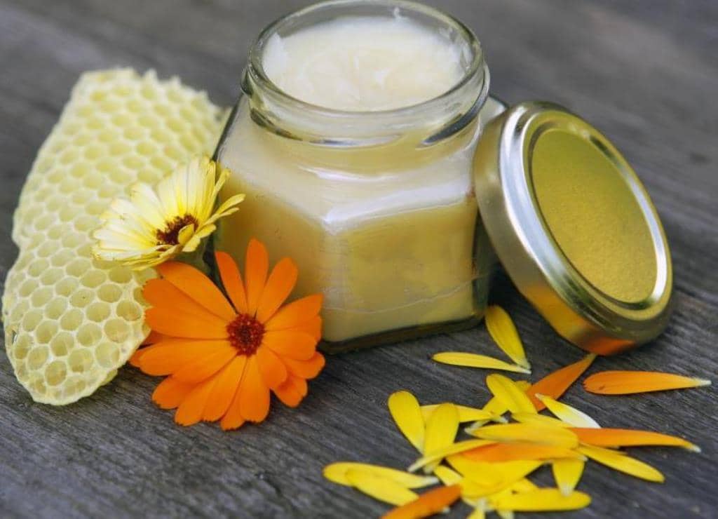 Cómo hacer crema de Caléndula casera