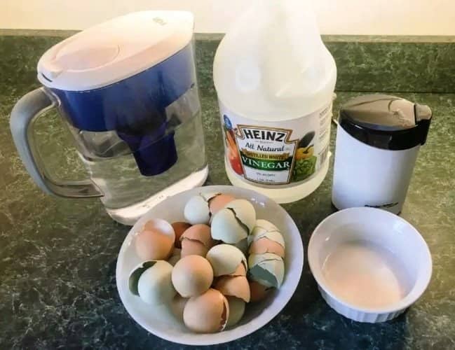 fertilizante líquido con cáscaras de huevo