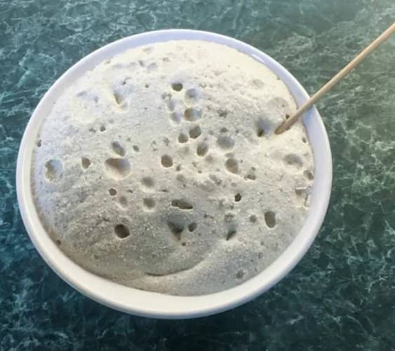 fertilizante líquido con cáscaras de huevo
