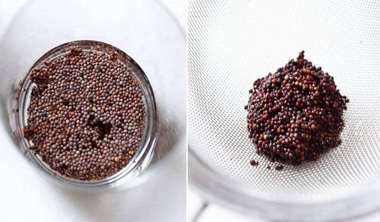 cultivar microvegetales